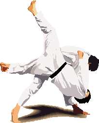 Profitez d'un mois de cours gratuit de Jujitsu
