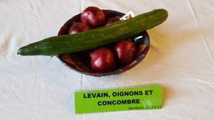 Des concombres, des oignons et des cailles : deux folies
