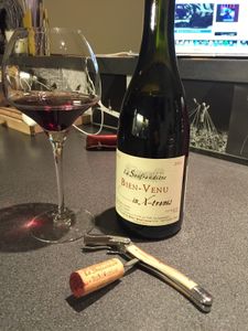 Bien-Venu in X-tremis 2011- Domaine de la Soufrandière