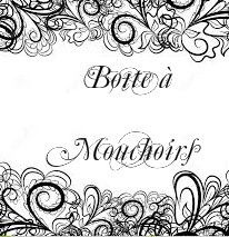 Boîte à mouchoirs