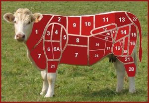 Projet de loi sur la consommation : bœuf au cheval, stop ou encore ?
