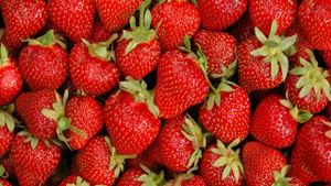 Plantez des fraisiers gratuits !