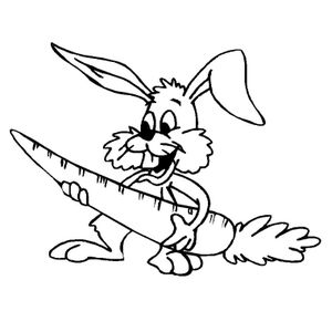 La binette et le petit lapin