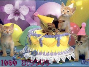 Anniversaire: 4 ans
