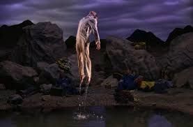 Pige dans "Service Littéraire" n° 73, mai 2014 : Bill Viola