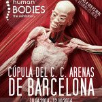 Exposition : Human Bodies