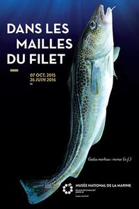 Dans les mailles du filet