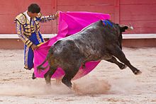 Corrida (Wikipedia)