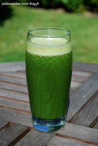 Jus épinards/pommes/carottes/ananas/citron