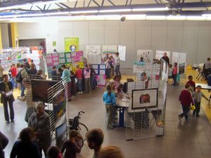 Exposcience 2014 en Sarthe