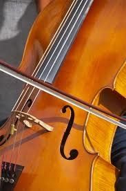 Carl Philip Emanuel Bach, Violoncelle