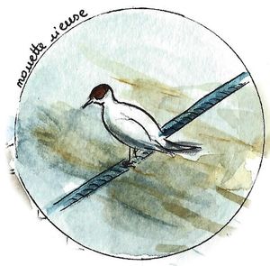 Retour sur le 48e sketchcrawl