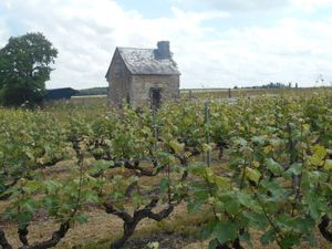 rencontre jasnieres