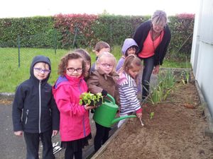 Les MS jardinent