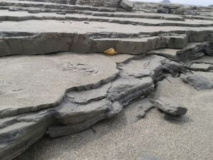 CE2-CM1 Au Mont St Michel !