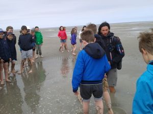 CE2-CM1 Au Mont St Michel !