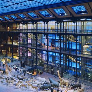 Les 20 ans de la "galerie de l'évolution" Paris