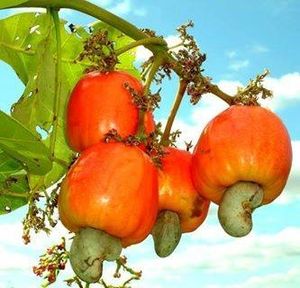 Potassium K : crampes et courbatures