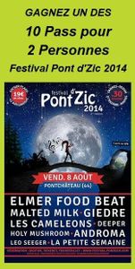 Gagnez vos places Pont d'Zic 2014 avec Stefline Radio