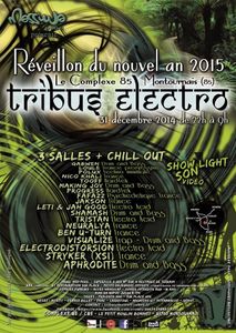 Gagnez vos places pour le Nouvel An 2015 (Tribus Electro)