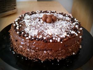 Gâteau d'anniversaire aux Maltesers*