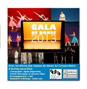 DVD du Gala de Danse 2013