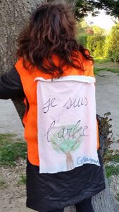 Sauvegarde des platanes sains