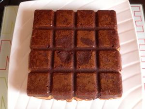 Brookie