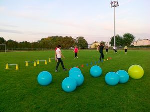 activités proposées