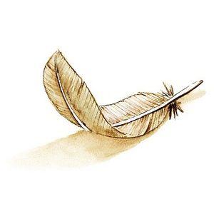 L’enfant qui battait des ailes.
