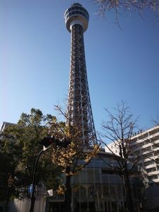 Fitness Odyssée : Etape N°422 (Yokohama - Japon)