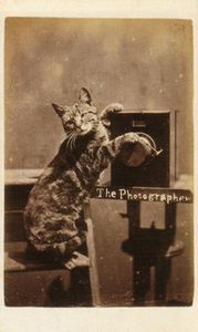 Mère et fille 2.0 - Trop de LOLCats tue le LOLCat?