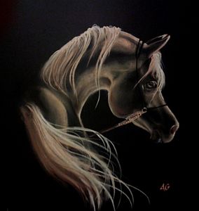 Dessin au pastel d'un cheval arabe (salon du cheval 2013)