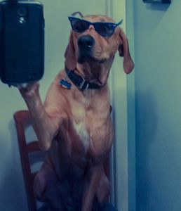 Selfie ou tous unis ?