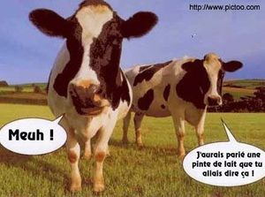 Pérennité des idées et épiphénomène du silence, mais quand même !