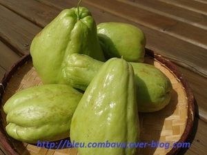 Gratin de chouchous au saumon