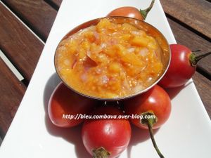 Rougail tomates arbustes