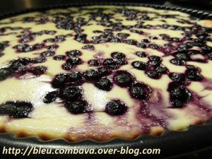 Cheesecake au muesli-pralin et citron-myrtilles