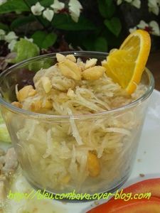 Salade de Papaye Verte
