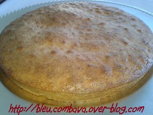 Gâteau Périgourdin aux Noix