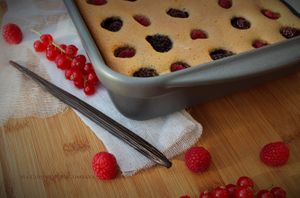 Financier Géant à la Vanille Bleue et aux Fruits Rouges