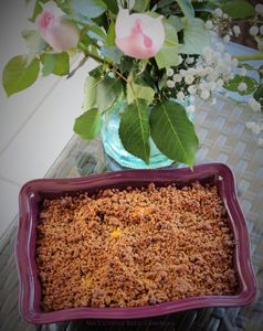 Bibasses en Crumble Coco Corsé (Nèfles du Japon)