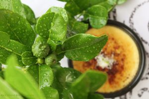 focus sur les combavas en devenir de mon jardin!