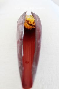 Pétale de babafigue (fleur de bananier)
