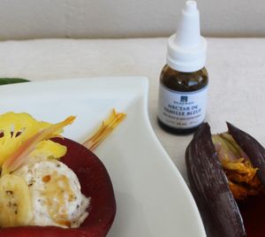 Crème Glacée Banane, Lait de Coco et Nectar de Vanille Bleue