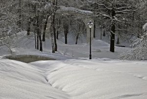 Neige