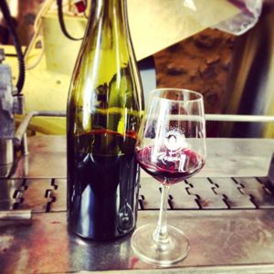 Fiche technique Rasteau rouge 2014