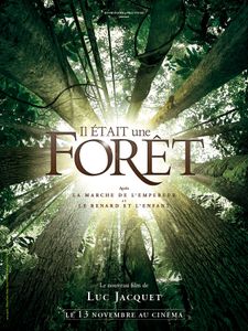 Projection du film "Il était une forêt" de Francis Hallé, lundi 26 mai à 20h (cinéma Utopia)