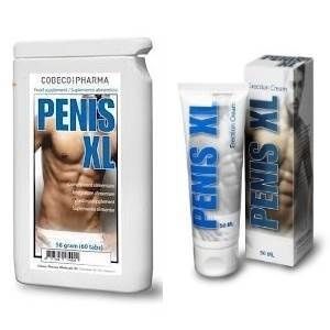 Un complemento para el hombre actual