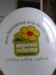 Quelques photos